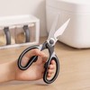 Kitchen Scissors