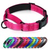 Erbine Padded Martingale Collar for Dogs | Neoprene Martingale Dog Collars | Reflective Nylon Martingale Collar | Adjustable Dog Martingale for Small Medium and Large Dogs