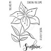 Jane Gill - Clear Singles Lily Sketch - Stamp, transparent