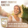 Melena de León Orgánico Organic Lions Mane Mushroom Powder, 113g