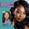 Just 5 Women's 5 Minute Permanent Hair Color with Conditioner,