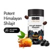 Kapiva Kapiva Himalayan Shilajit/Shilajeet Gummies | 225mg Shilajit/Gummy | Ginger
