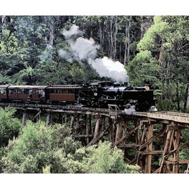 CafePress Old Narrow Gauge Steam Train On Trestle Bridge She Sherpa Fleece Throw Blanket 60" L x 50" W