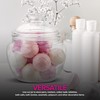 Modern Innovations 40 oz Candy & Cookie Jar with Lid,