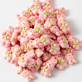 40 Pcs Easter Rabbit Theme Accessory Resin Mini Bunny with Tulip Animal Cartoon Easter Flatback Charms for DIY Embellishment Vase Filler (Pink)