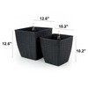 TREATLIFE HOME Self-Watering Planters for Easy Plant Care, Hand-Woven Wicker