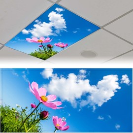 FALE QTUOM Fluorescent Light Cover for Classroom - 2 Pcs Flowers, Clouds Magnetic Fluorescent Light Covers for Office Classroom Home Drop Ceiling, 4 X 2 Feet