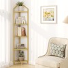 5 Tier Corner Shelf Stand, Gold Metal Frame Corner Shelf