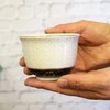 Stylish Kutani Ware Tea Bowl, Set of 5 Guests, White