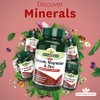 Natures Aid Calcium, Magnesium and Zinc, Maintain Normal Bones, Teeth
