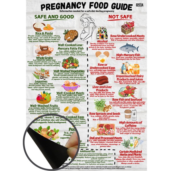Pregnancy Food Guide Magnetic Chart A4 – Fridge Magnet with