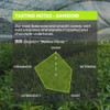 Chazoku Samidori Ceremonial Matcha Green Tea Powder - First Harvest