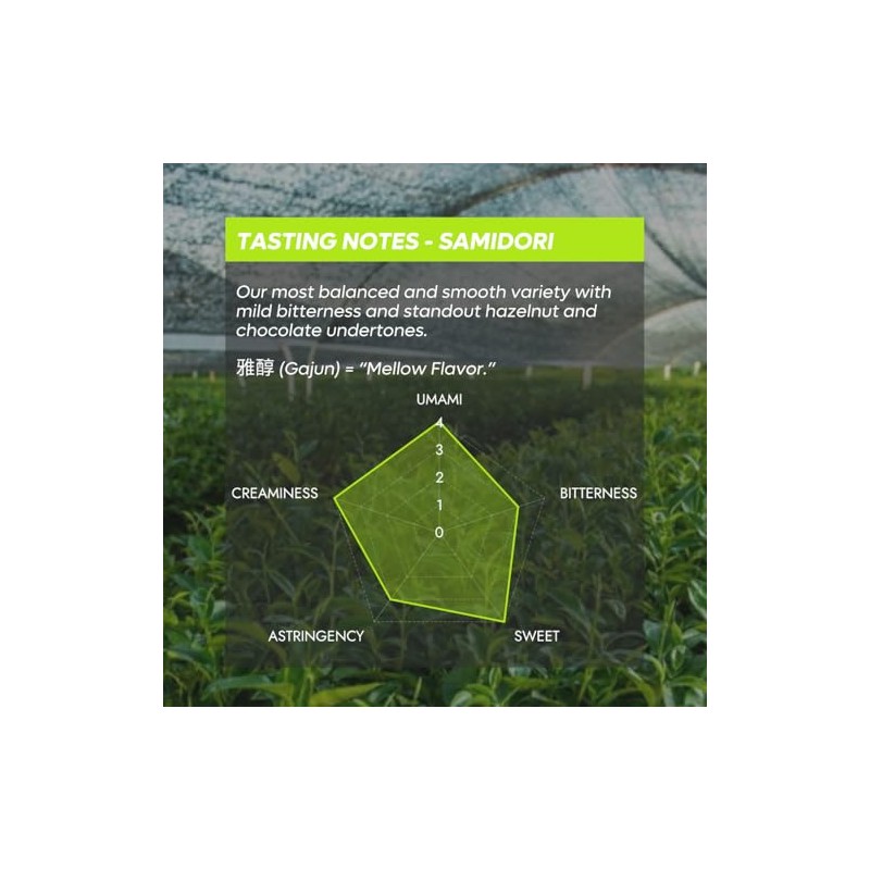 Chazoku Samidori Ceremonial Matcha Green Tea Powder - First Harvest