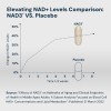 HPN NAD+ Booster (NAD3) â€“ Anti-Aging, Longevity & Cellular Health
