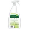 Biokleen Bac-Out Enzyme Stain Remover - 32 Ounce - Natural