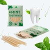 600 Pcs Mint Toothpicks Bulk Flavor Menthol Toothpicks Wood Flavored