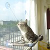 PEFUNY Cat Window Hammock – Mess-Free Waterproof Cats Window Perch