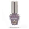 Canmake Colorful Nails Manicure N47 Dusky Purple 8ml (x1)