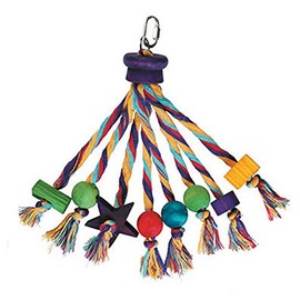 The Bird House, Carnival Bird Toy