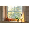 d-c-fix pellicola per finestra Falling Leaves 20 cm x 1,5
