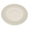 Devon Ceramics Ltd Set of Stoneware Dinner Plates (Set of