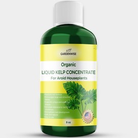 GARDENWISE Organic Premium Kelp Seaweed Concentrate - Liquid Plant Food - Nutrient-Rich Soil Enhancer - Natural Plant Food for Aroid Houseplants (8 OZ)