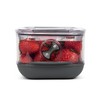ProKeeper+ by Progressive Stackable Produce ProKeeper Storage Container with Stay-Fresh