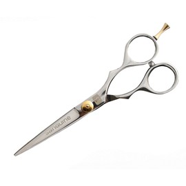 Sanguine Professional Hairdressing Scissors Chrome 14 cm 14 cm