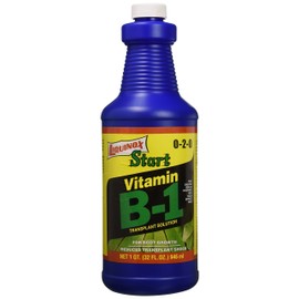 Liquinox 1 0-2-0 Vitamin B1 Start, 1 quart