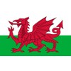 TENNER.LONDON SET OF 5 Welsh Flag Iron on Screen print