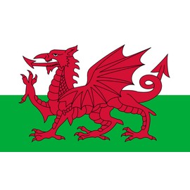 TENNER.LONDON SET OF 5 Welsh Flag Iron on Screen print Fabric Applique machine washable transfer WALES
