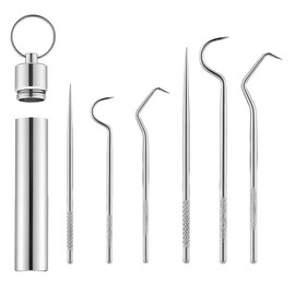 6 Piece Set Stainless Steel Metal Toothpicks Durable Tooth Pick Metal Portable Reusable Metal Toothpicks for Outdoor Picnic Camping with Toothpick Container