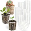 Clear Nursery Pots with Drainage 3.5 Inch: 100 Pack See