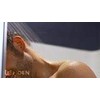 Moen 20001 Showerhead