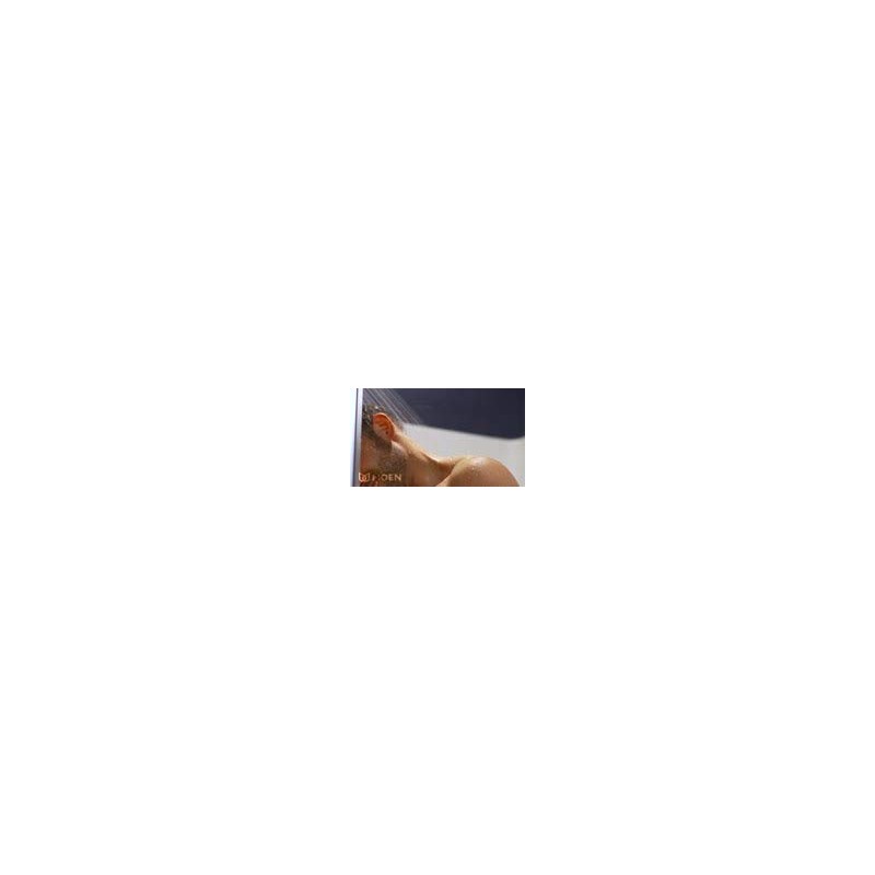 Moen 20001 Showerhead