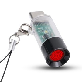 Portable and Lightweight USB Type-C Electric Lighter, which has no Flame, no Gas, no Battery and is Windproof, can be Used by Connecting The Charging Port of The Mobile Phone. (Transparent Color)