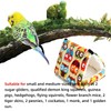 Bird Hanging Hammock Winter Bird Nest Pet Hammock Bird Cotton