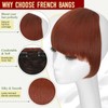 Felendy Clip in Bangs, Synthetic Fake Bang Hair Clip, French