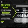 Holix LAB - Creatina Monohidratada - 500 grs, rinde hasta