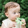 green sprouts Front & Side Teether-Green