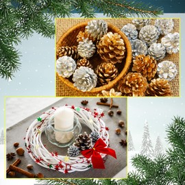 27 Pieces Christmas Pine Cones, xmas tree decorations, Snow Pine Cones with Rope,Mini Pine Cones Pendant 3 Color Gold/White/Silver