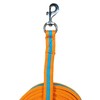Soft Padded Lunge Line Rein Lead for Horses 27ft Looped