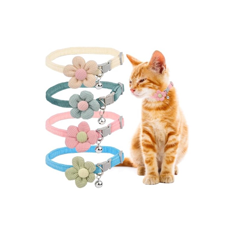 Collares de perro básicos, paquete de 4 collares de gato
