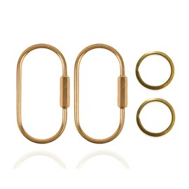 Brass Key Ring, Gold Key Rings Screw Lock Keychain Gold Carabiner Keychains Clip for Keys Organizer Purse Shoulder Bag Chain Ring DIY Crafts