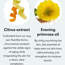 Artistry Signature Select Purifying Body Cleanser for Complete Body Care and Nourishment