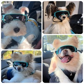 Billionchains Dog Goggles for Small Dog Doggy Goggles with Adjustable Straps Anti-UV Doggie Sunglasses Windproof Eye Protection to Small Breed, Blue