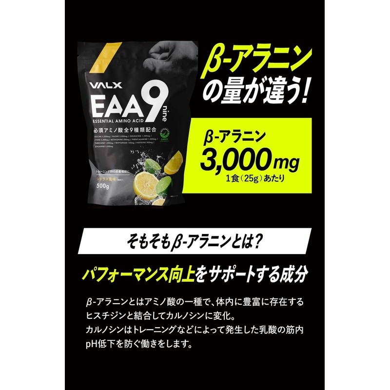 VALX バルクス EAA9 山本義徳 ライチ風味 必須アミノ酸9種類配合 EAA 500g 国産 ベータアラニン