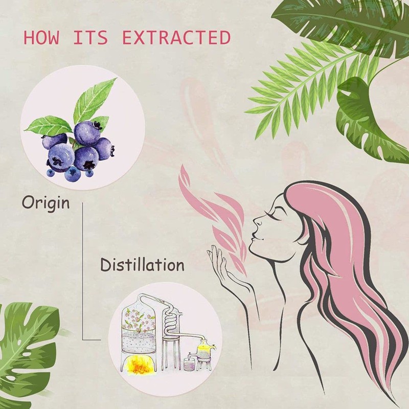 AOPING Blueberry Essential Oil - 100% Pure Organic Natural Plant