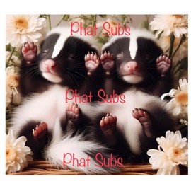 Unbranded 20oz Sublimation Tumbler Wrap Sleeping Skunks Ready To Press Heat Transfer