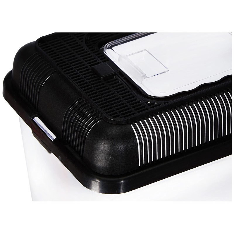 Reptile on Tour Transport and Feeding Box - Medium -